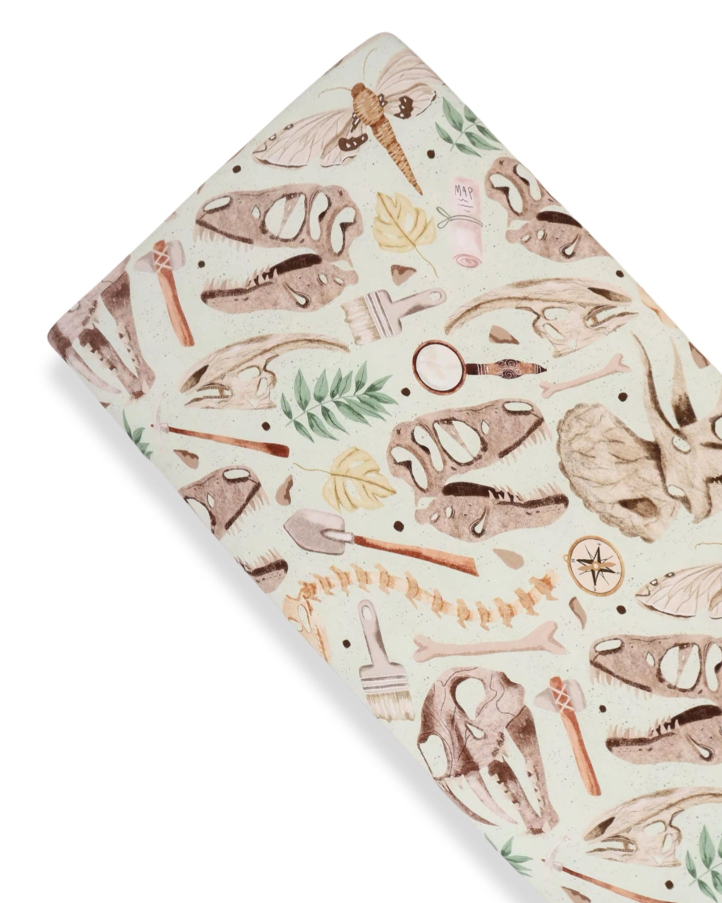 Fossil Finders - Crib Sheet